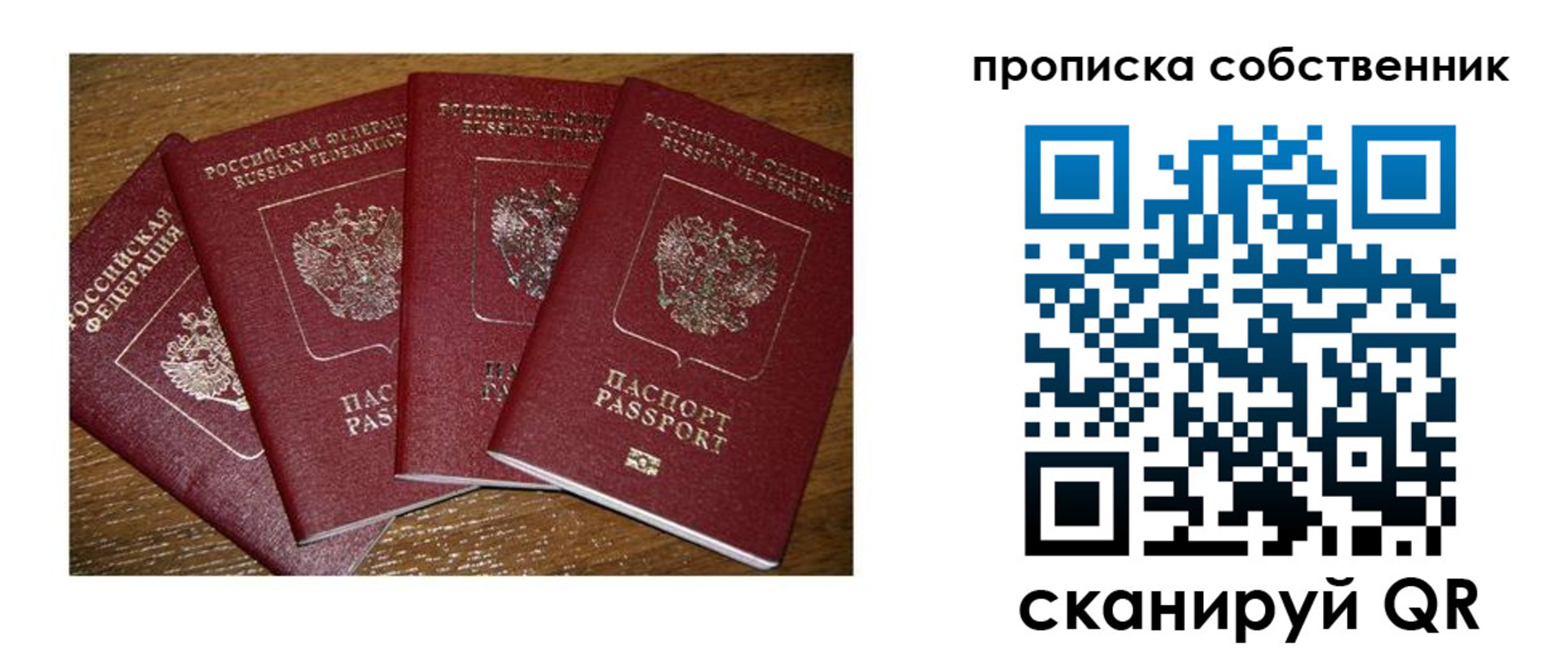 прописка поиск в Чкаловске